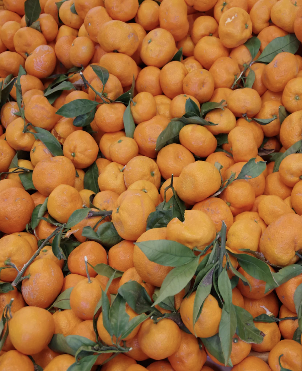 citrus, mandarin - satsuma — M-W
